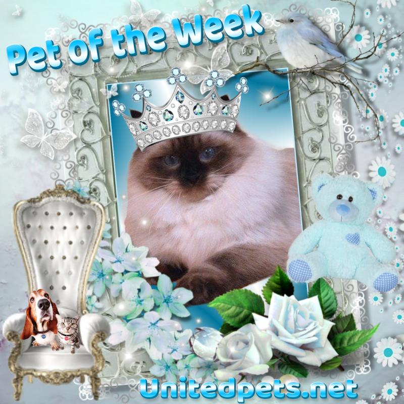 Ada uploaded   86  day/s  ago