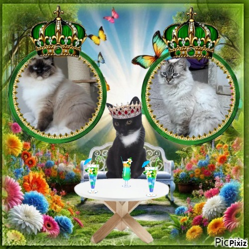 Ada uploaded   36  day/s  ago