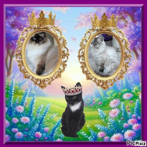 Ada uploaded   36  day/s  ago