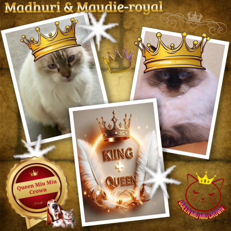 Maudie-royal of the Ada family