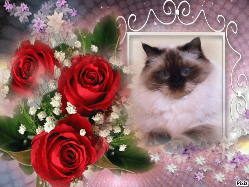 Ada uploaded   32  day/s  ago