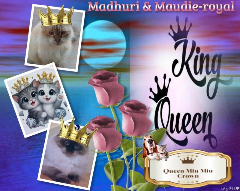 Maudie-royal of the Ada family