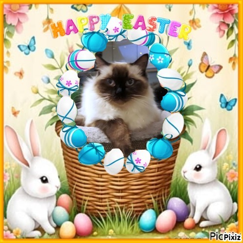 Maudie-royal of the Ada family