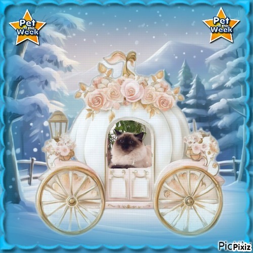 Ada uploaded   92  day/s  ago