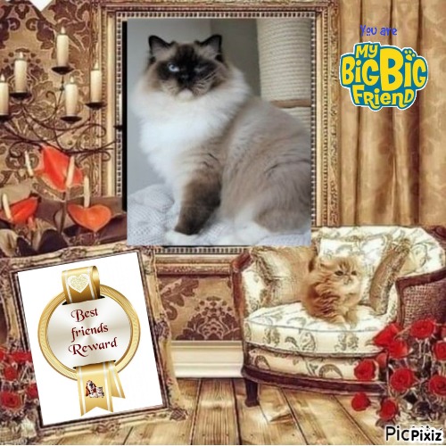 Ada uploaded   22 hour/s ago