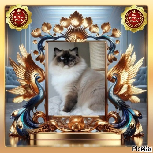 Ada uploaded   92  day/s  ago