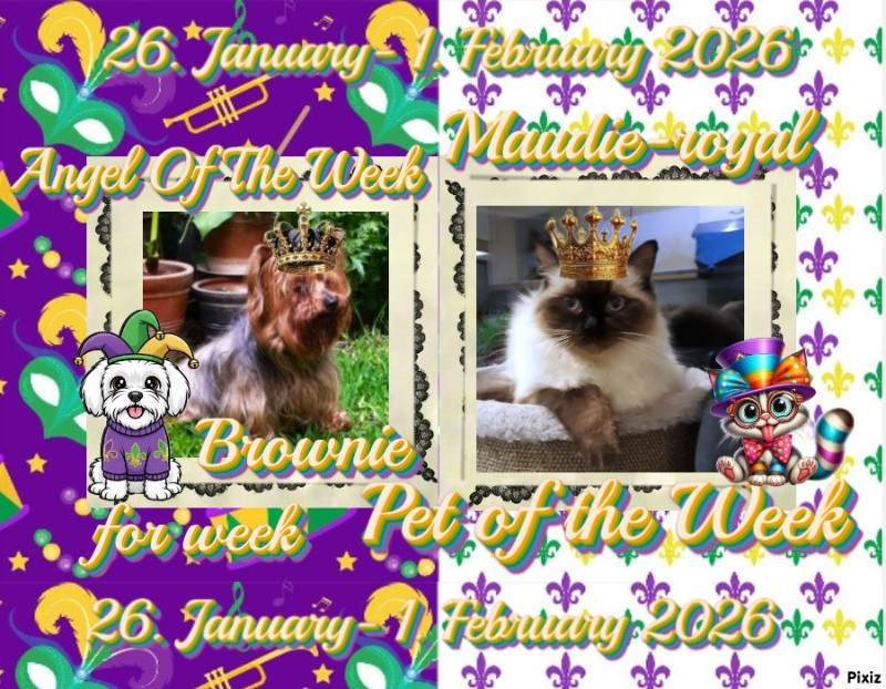 Ada uploaded   93  day/s  ago