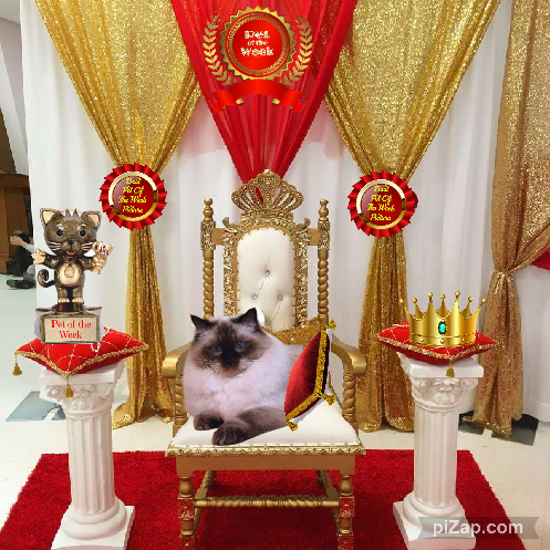 Ada uploaded   87  day/s  ago