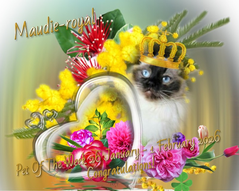 Ada uploaded   90  day/s  ago