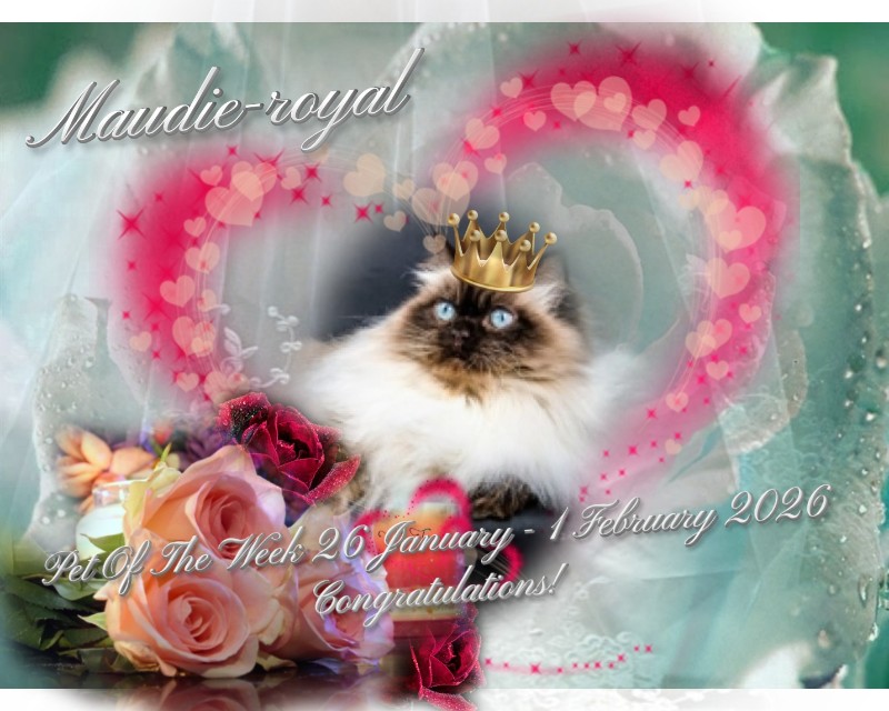 Ada uploaded   90  day/s  ago