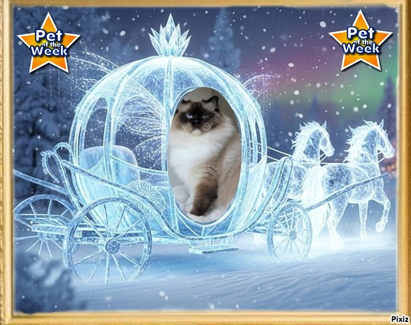 Ada uploaded   92  day/s  ago