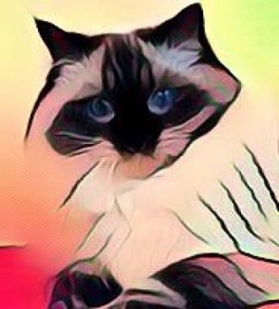 Ada uploaded   210  day/s  ago