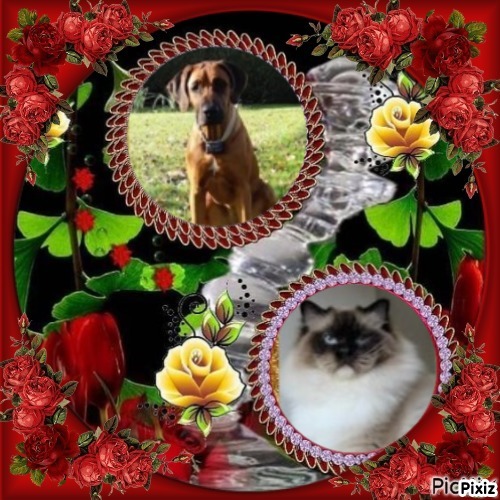 Ada uploaded   51  day/s  ago