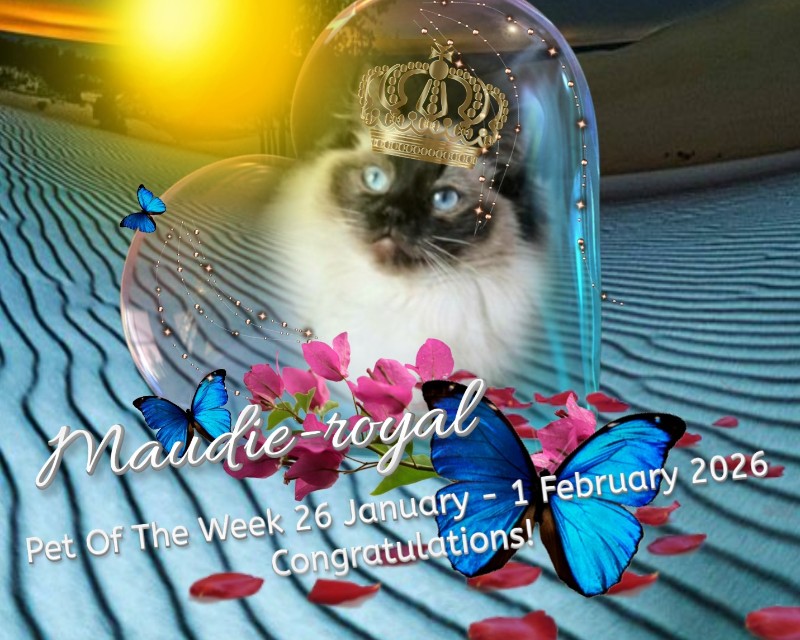 Ada uploaded   90  day/s  ago