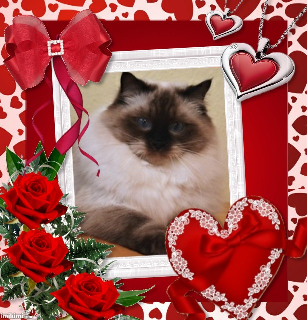 Maudie-royal of the Ada family