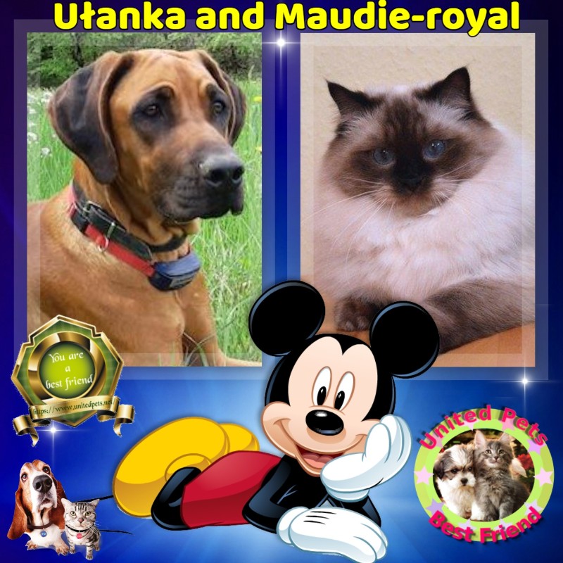 Ada uploaded   51  day/s  ago