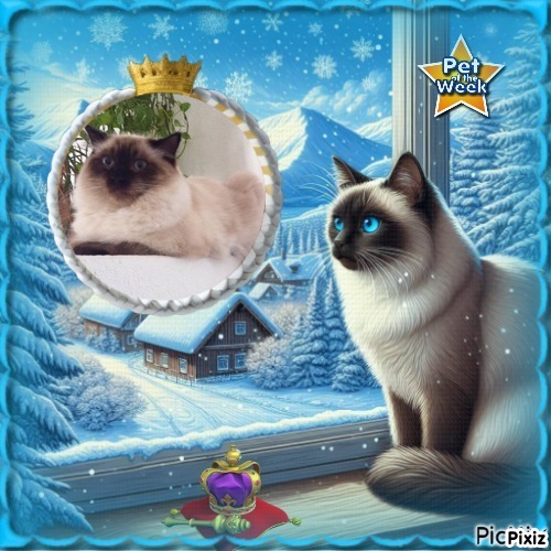 Ada uploaded   92  day/s  ago