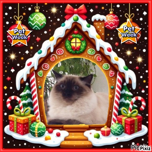 Ada uploaded   92  day/s  ago