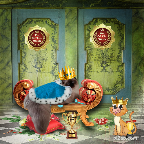 Ada uploaded   87  day/s  ago