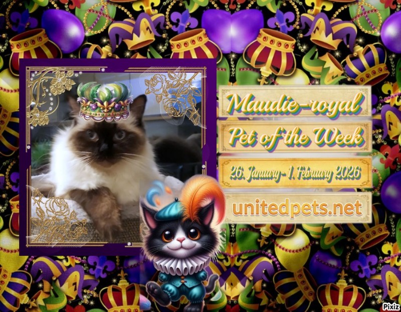 Ada uploaded   93  day/s  ago