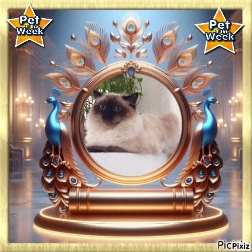 Ada uploaded   92  day/s  ago