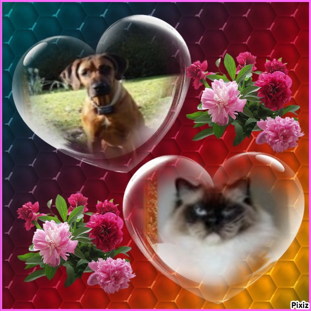 Ada uploaded   51  day/s  ago