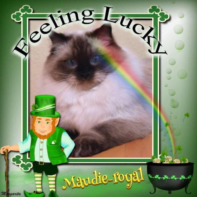 Maudie-royal of the Ada family