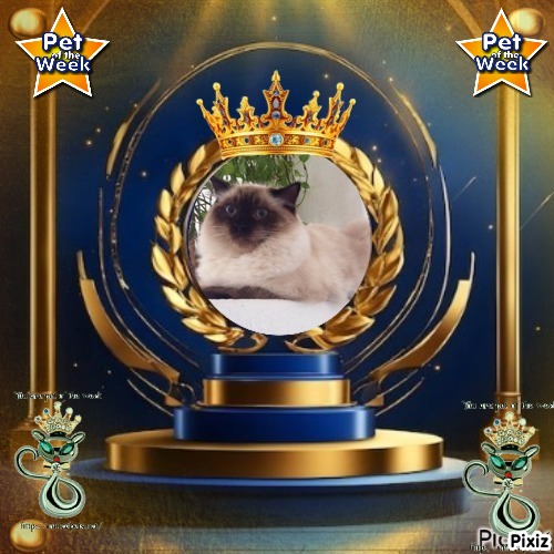 Ada uploaded   92  day/s  ago