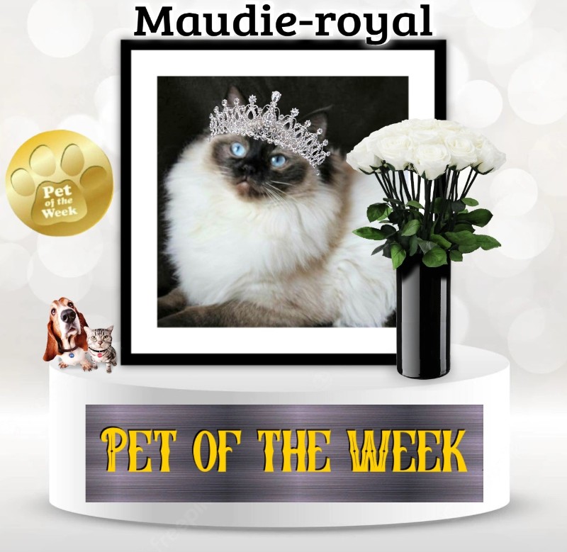 Ada uploaded   89  day/s  ago