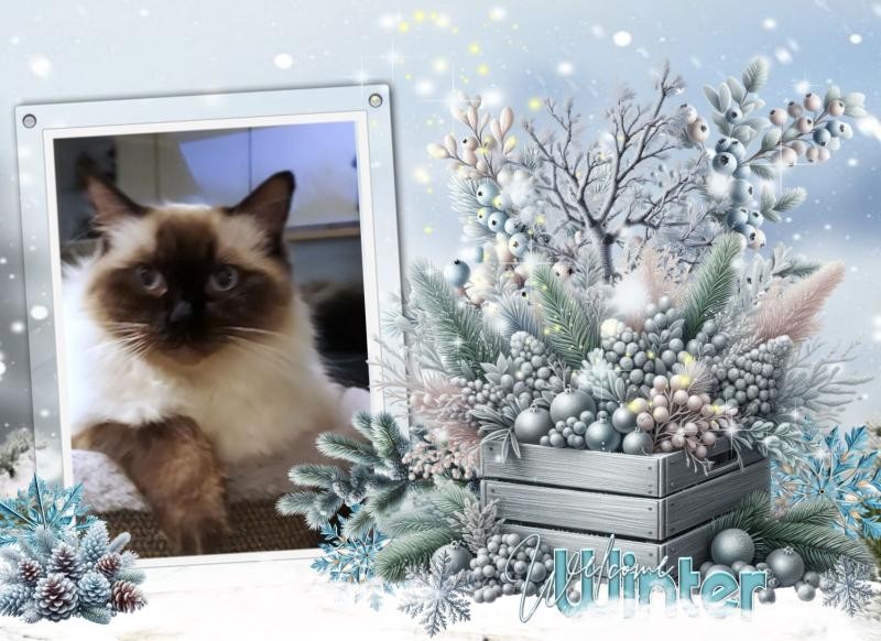 Ada uploaded   93  day/s  ago