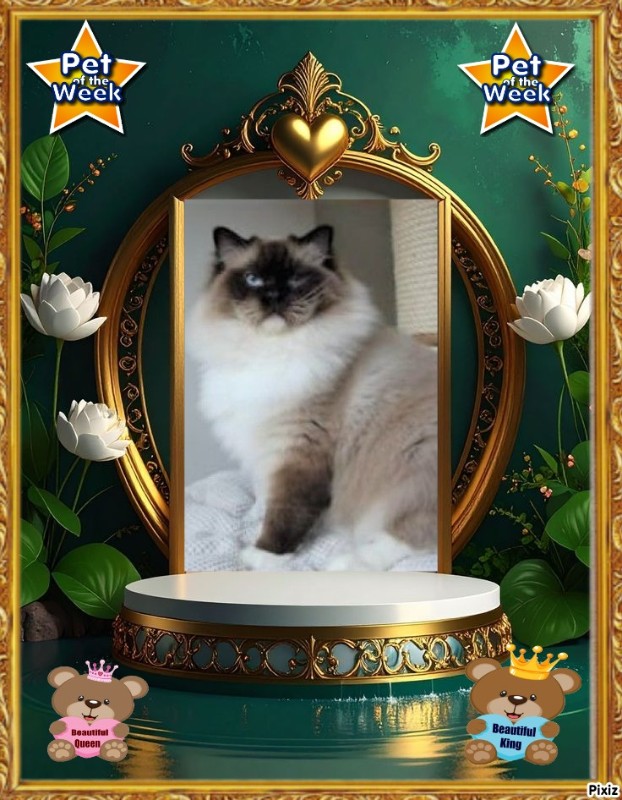 Ada uploaded   92  day/s  ago