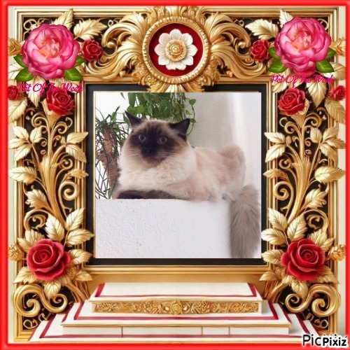 Ada uploaded   92  day/s  ago