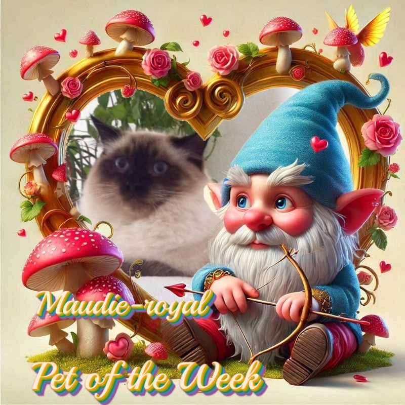 Ada uploaded   90  day/s  ago