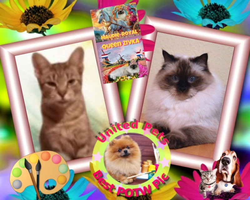 Maudie-royal of the Ada family