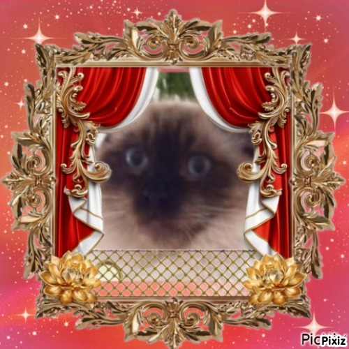 Ada uploaded   89  day/s  ago