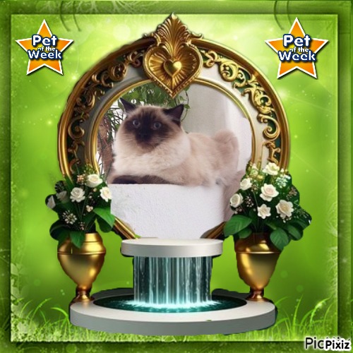 Ada uploaded   92  day/s  ago