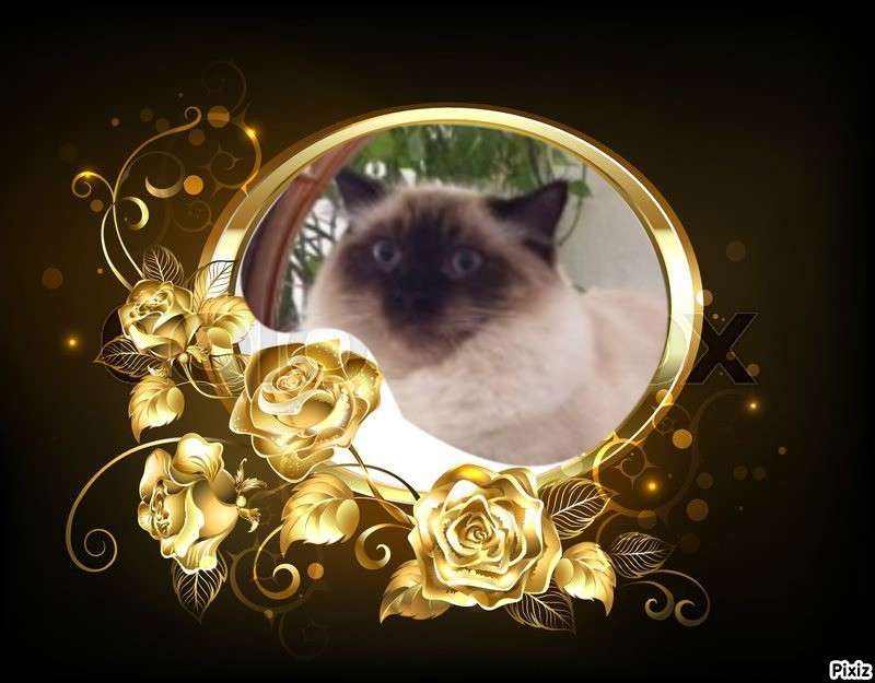 Ada uploaded   90  day/s  ago