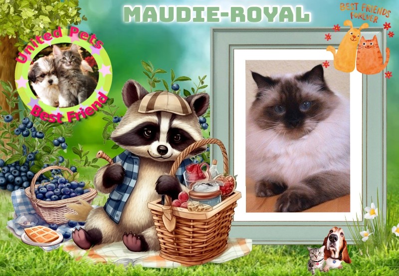 Ada uploaded   51  day/s  ago