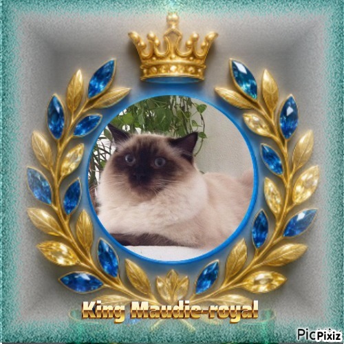 Maudie-royal of the Ada family