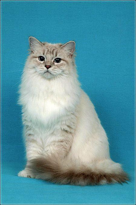 Ada uploaded   22 hour/s ago