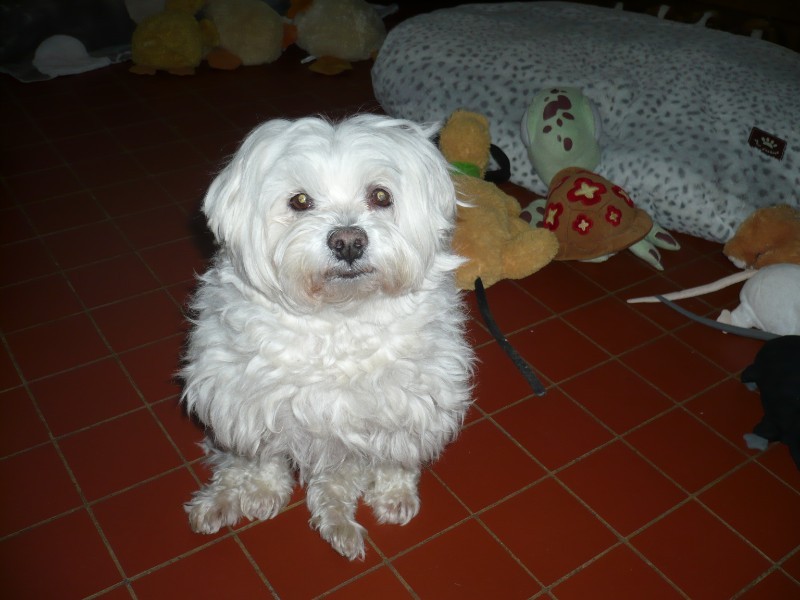 Ada uploaded   22 hour/s ago