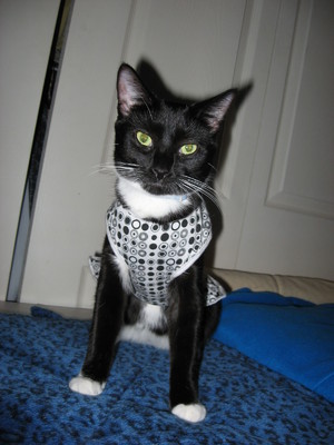 Ada uploaded   22 hour/s ago