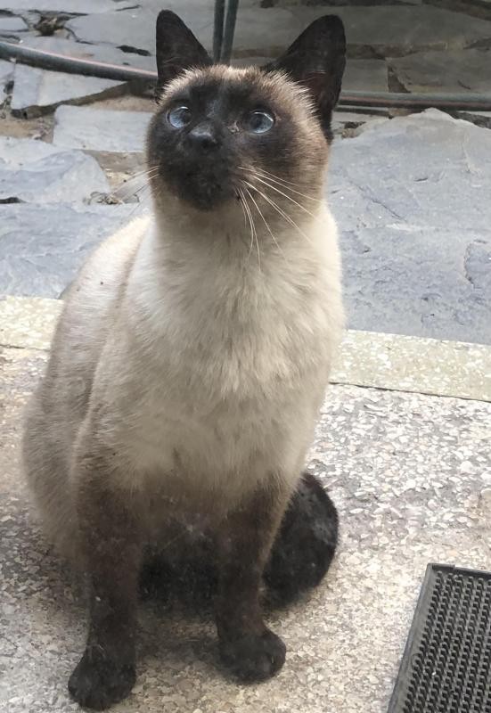 Ada uploaded   22 hour/s ago