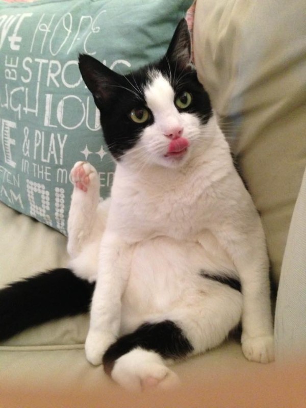 Ada uploaded   22 hour/s ago