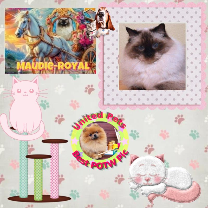 Maudie-royal of the Ada family