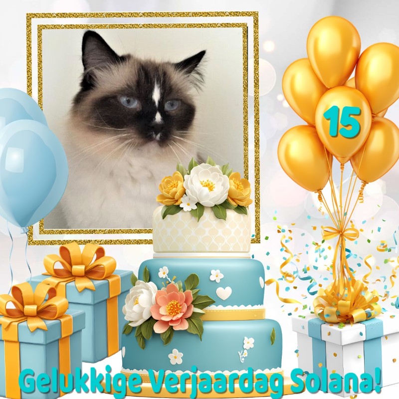 Ada uploaded   9  day/s  ago