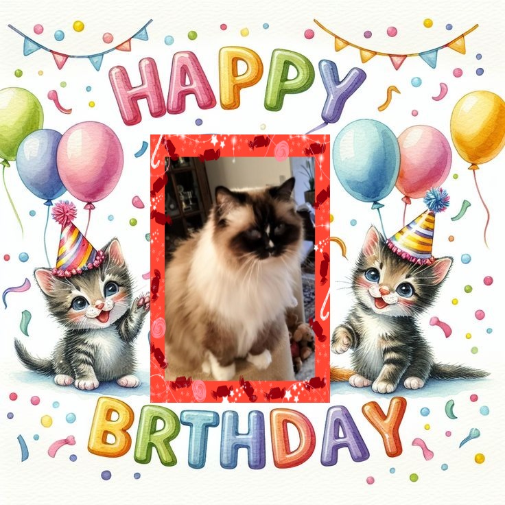 Solana of the Ada family