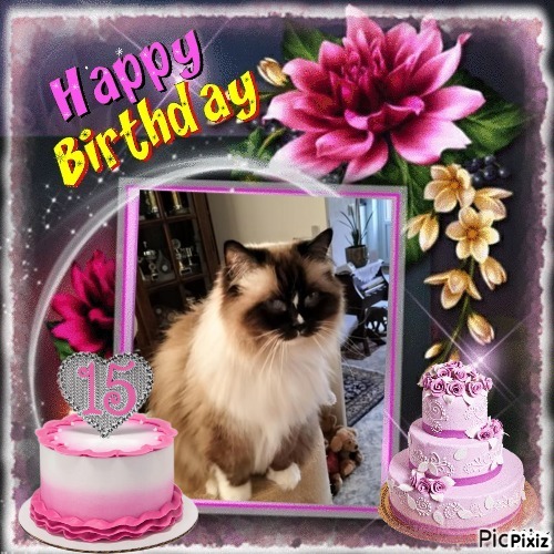 Solana of the Ada family