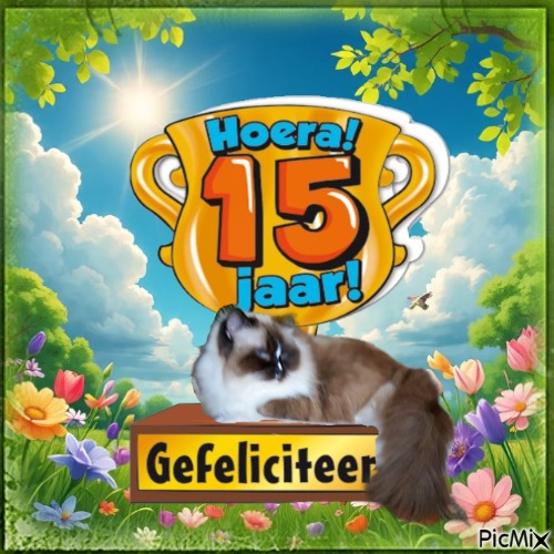 Ada uploaded   9  day/s  ago