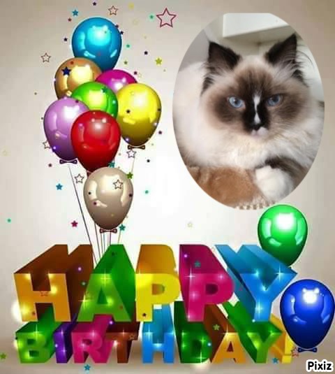 Solana of the Ada family